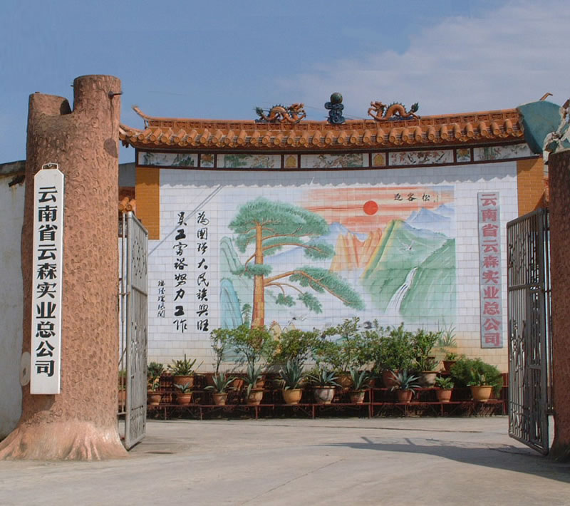 �D����˾���� �c���ɷŴ�