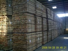 �D��ľ�ώ� �c���ɷŴ�