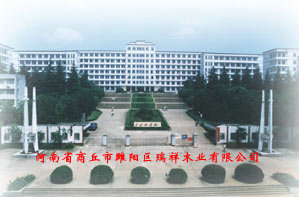 �D���S�^ �c���ɷŴ�