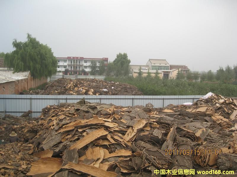 �D����ӬF�� �c���ɷŴ�