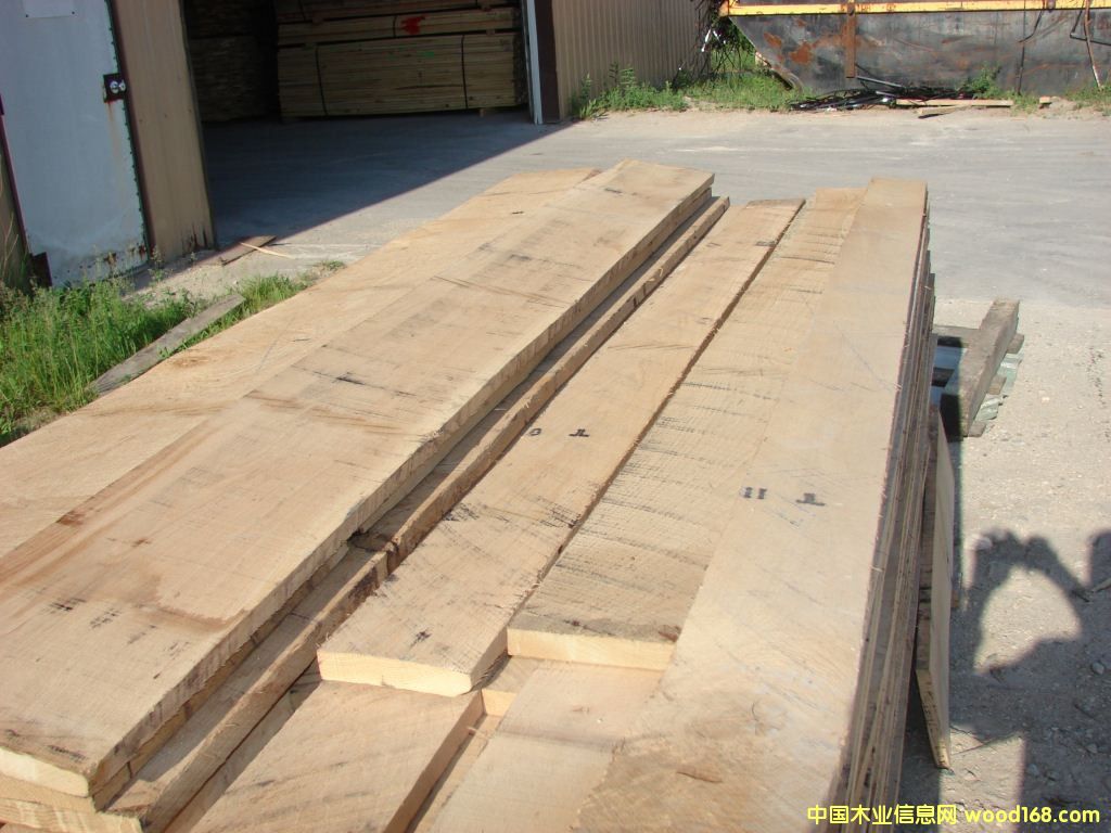 �D����������ľ �c���ɷŴ�