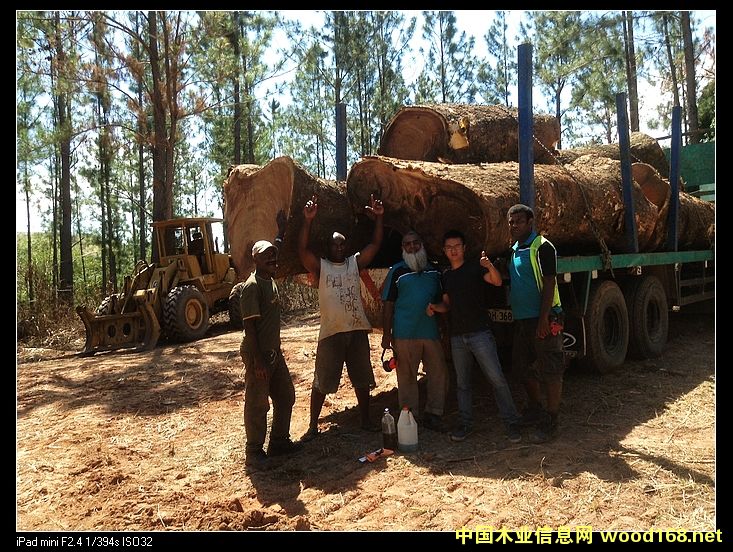 �D���ں��� �c���ɷŴ�