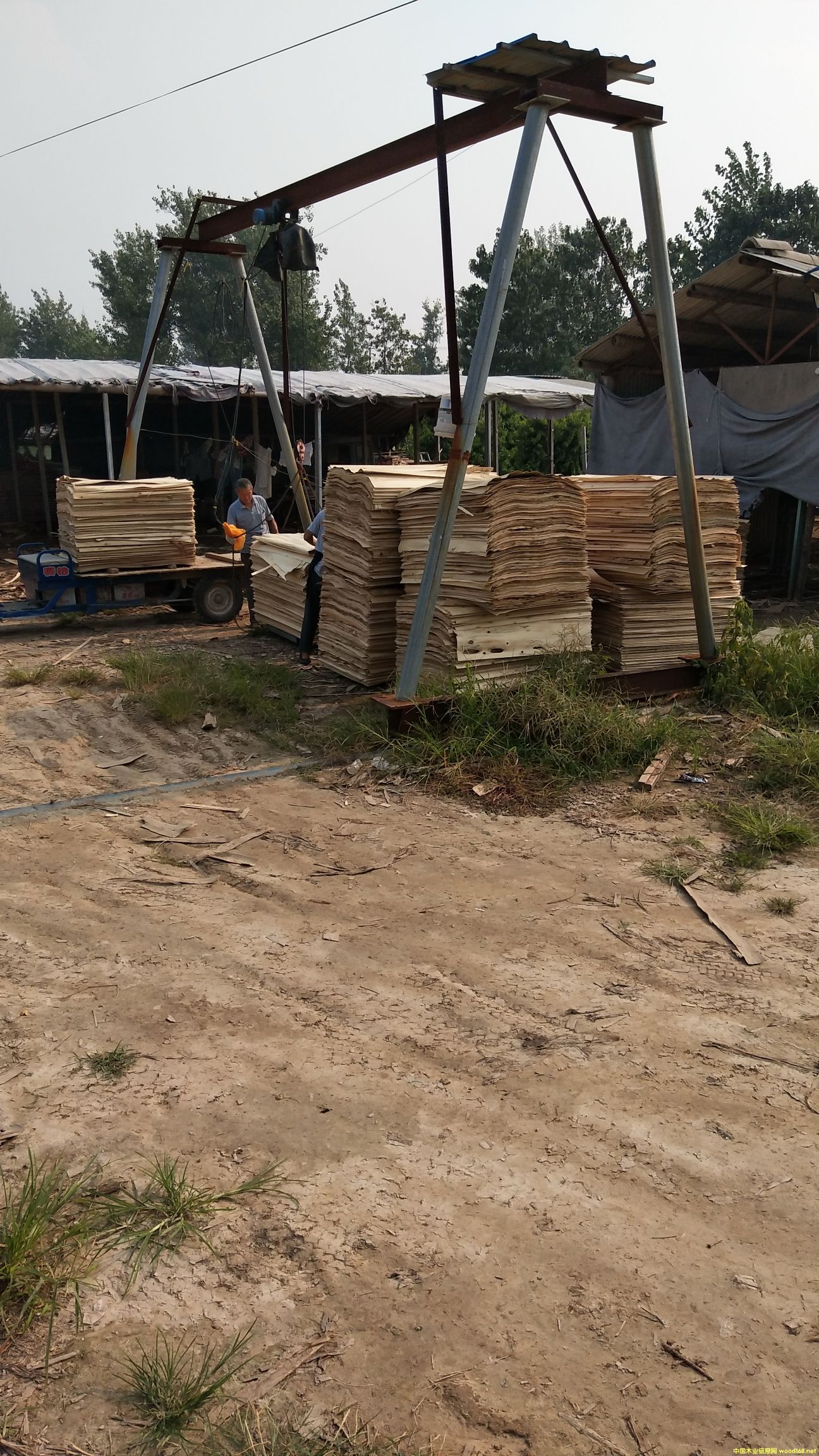 �D����ľ��ƴ��.1.27*84*��1.5--3.2����.���N��̖���� �c���ɷŴ�