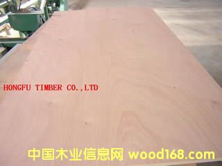 �z�ϰ��Ԕ����B