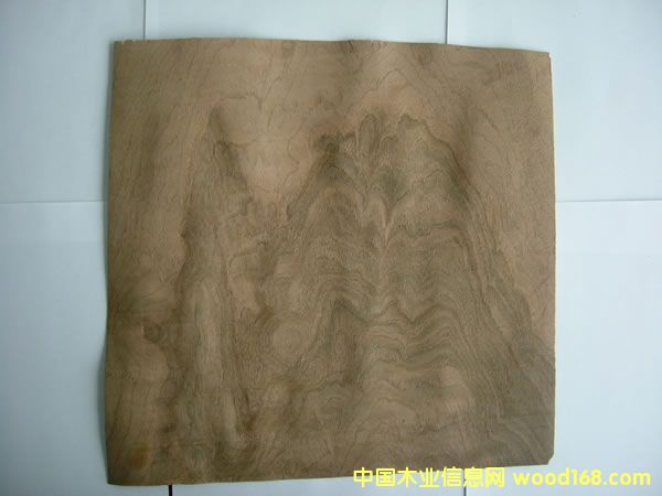 ���Ҙ�Ƥ��Ԕ����B