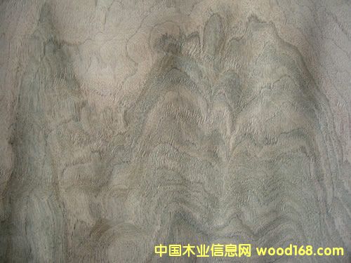 ���Ҙ�Ƥ��Ԕ����B