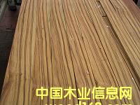 ��֦ľƤ��ֱ�y����Ԕ��(x��)��B