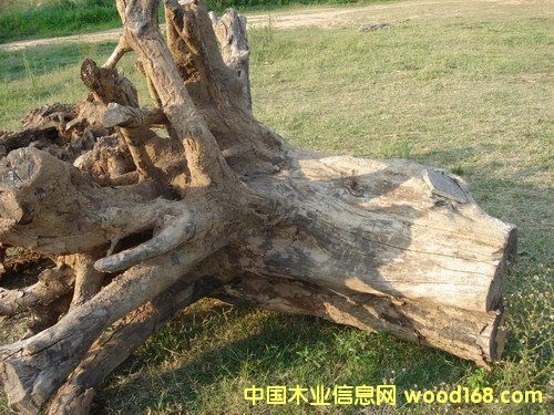 ����ľ���B��Ԕ����B