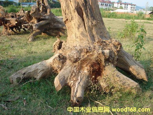 ����ľ���C��Ԕ����B