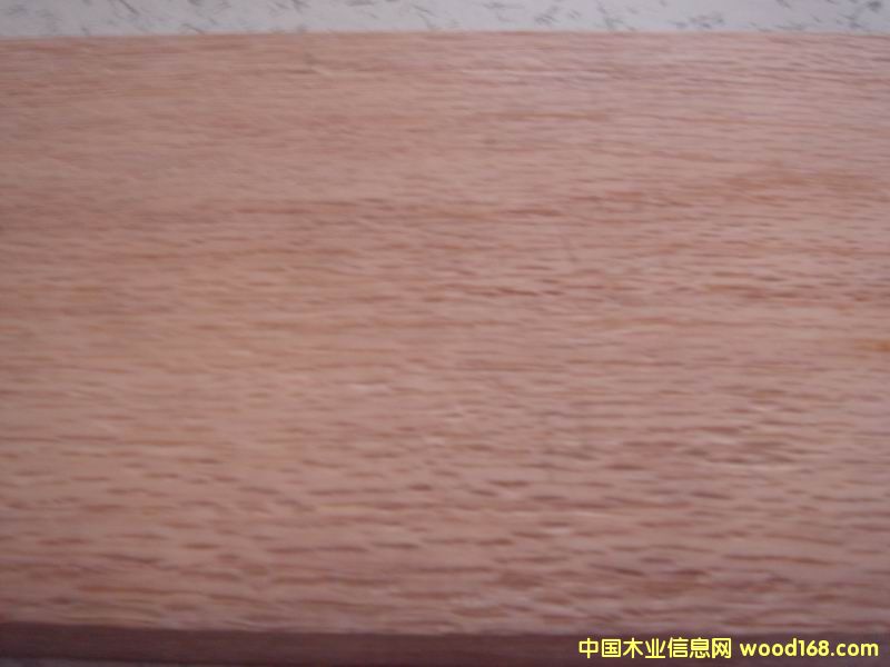 ����ľ��Ԕ����B