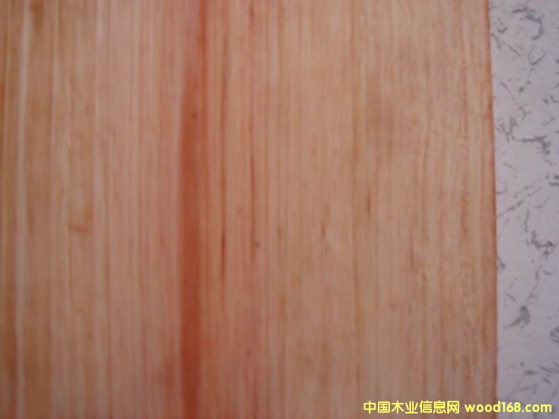 ����ľ��Ԕ����B