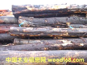 ̫ƽ�󺣰���ľ��Ԕ����B