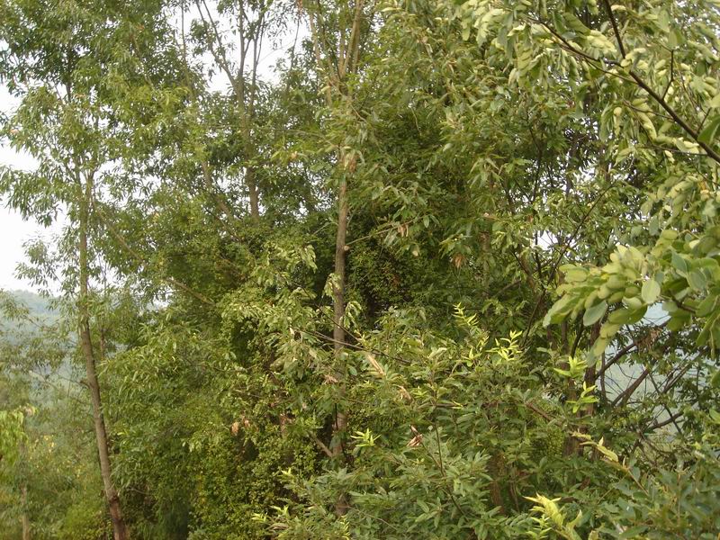 �sľ�YԴ�S����Ԕ����B