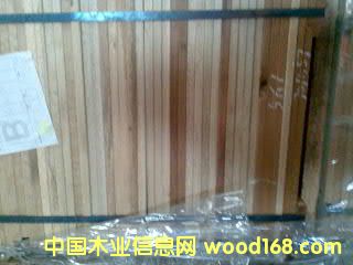 �Ͷ���Ԕ��(x��)��B