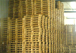 ľ����.ľ���Ԕ����B