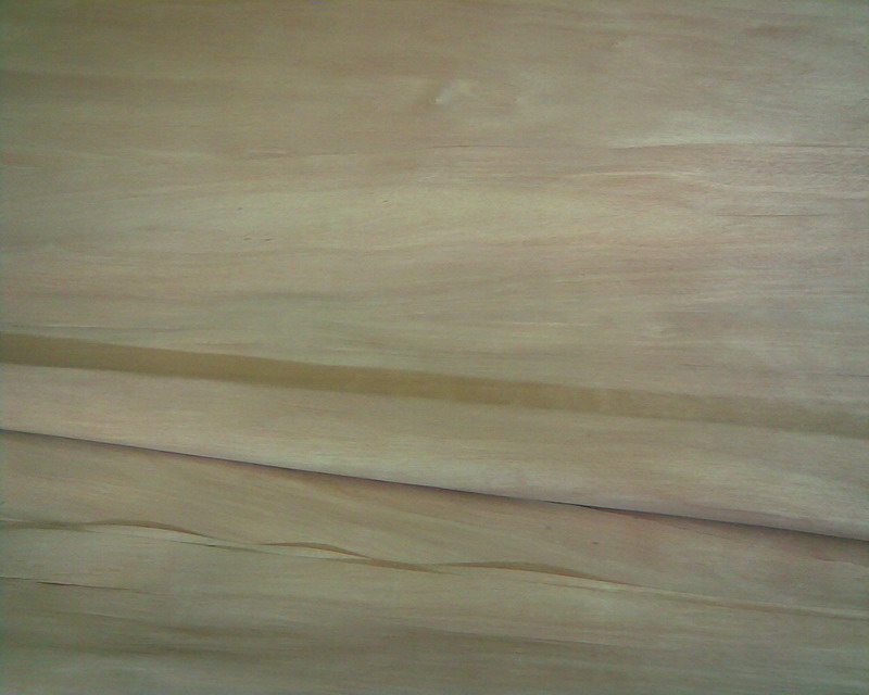 ��]�ҵ�Ԕ����B