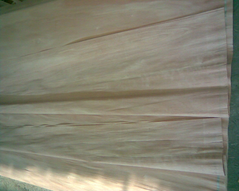 ��]�ҵ�Ԕ����B