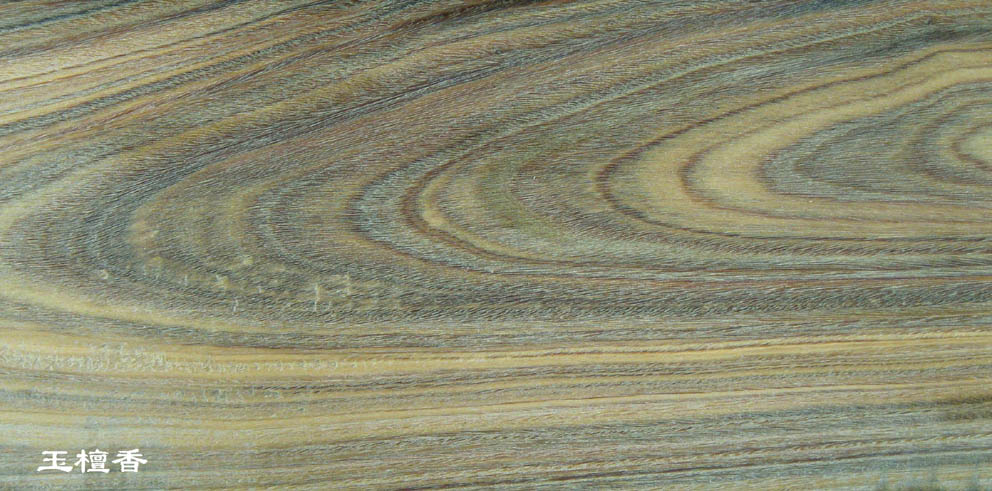 ��̴���Ԕ����B