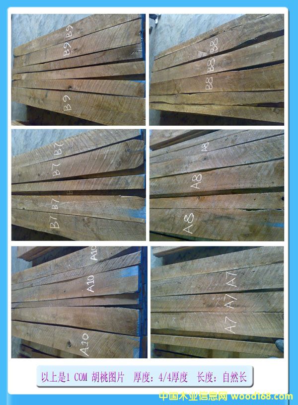 �ں��ҵ�Ԕ����B