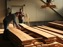 �W�ޙ�ľ��Ԕ����B