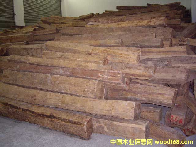 �ϓ�t��֦��Ԕ��(x��)��B