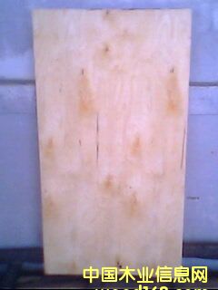 ��ľ�ΰ��Ԕ��(x��)��B