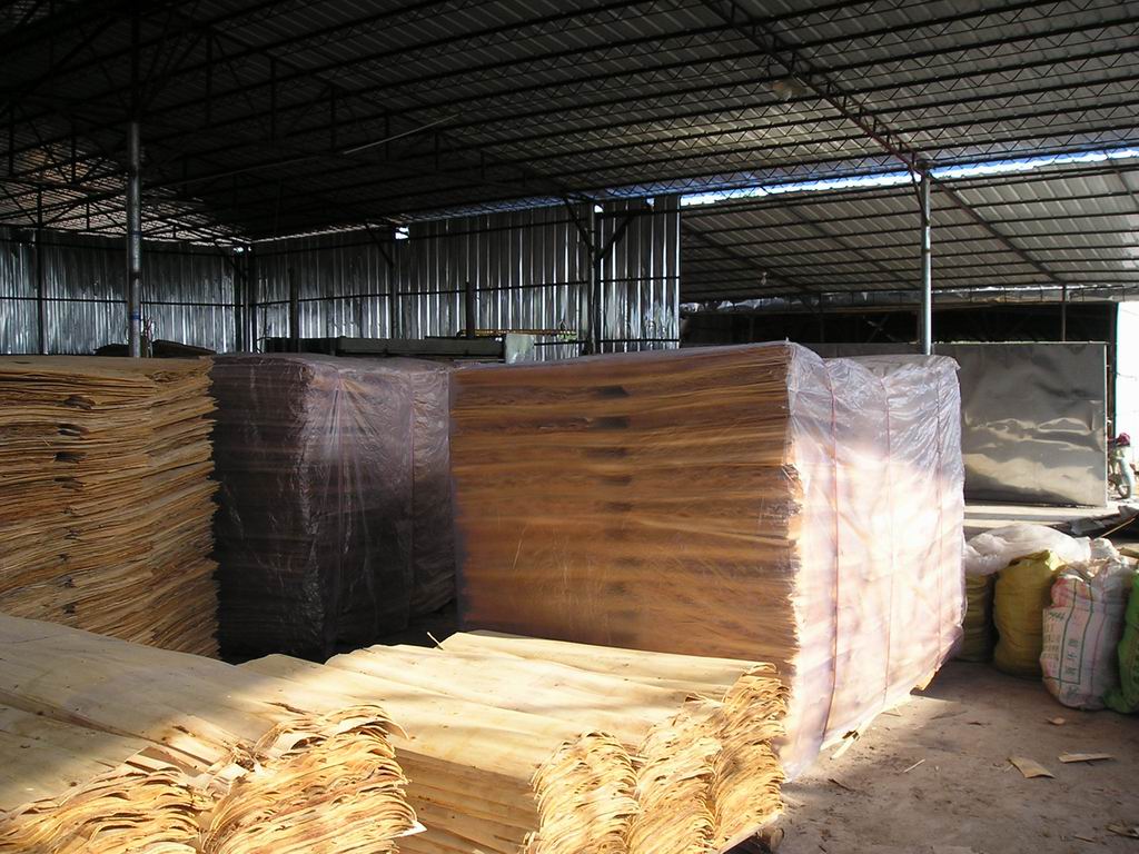 ��ľ�ΰ��Ԕ��(x��)��B