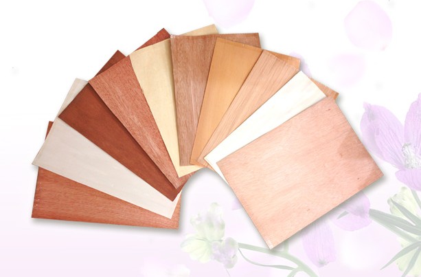 �t����.�͹�ľ.���ǹ������N�sľ�ΰ�