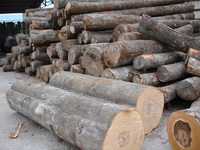 ��ľԭ��,�ɰ�ĵ�Ԕ��(x��)��B