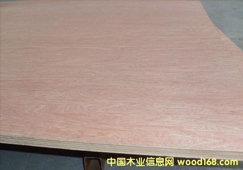 ȫ�sľ�z�ϰ��Ԕ����B