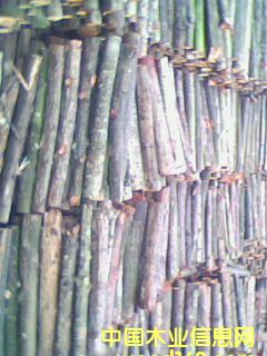 �t��ԭľ��Ԕ����B