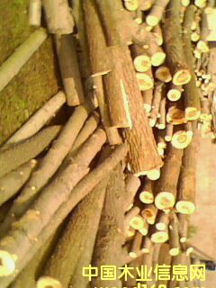 ��ľԭľ��Ԕ����B