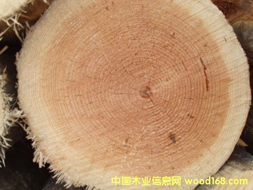 ����������ԭľ