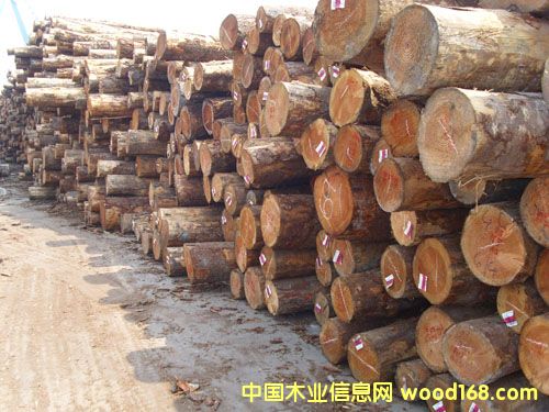 �����ɵ�Ԕ����B