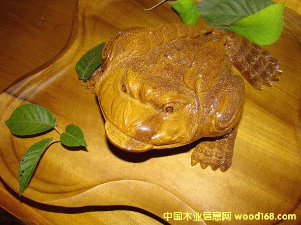 ��z�ľ��ˇƷ��Ԕ��(x��)��B