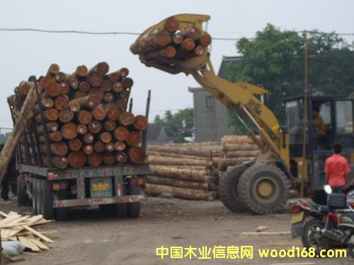 ��ɽľ�����l��Ԕ����B