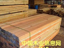 �����ɵ�Ԕ����B