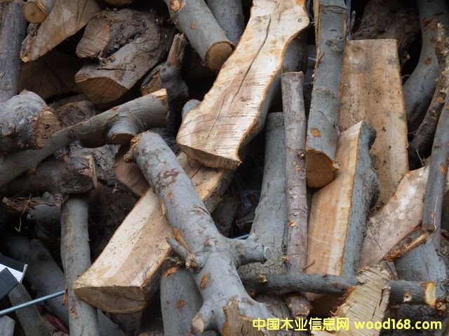 �O��ľ ��Ԕ����B