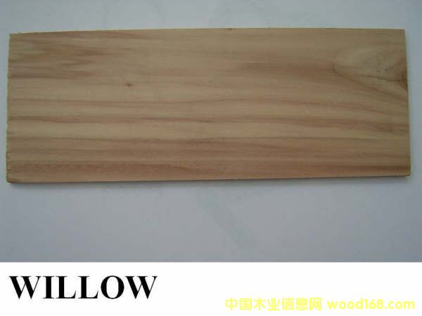 FSCľ��:������ľ��Ԕ����B