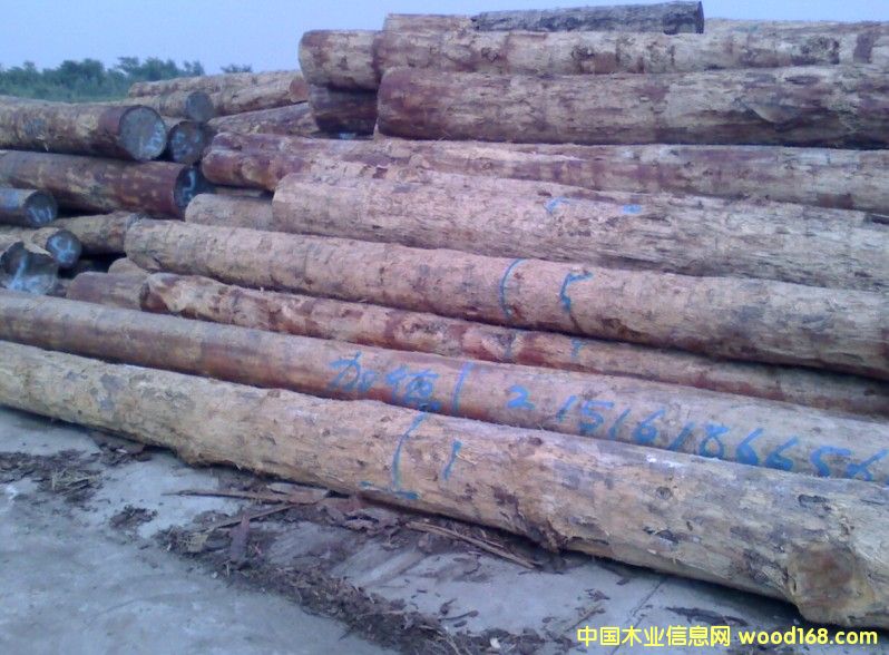 �M(j��n)��ԭľ