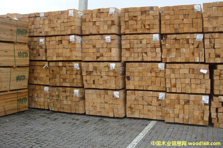 �M(j��n)��ľ��