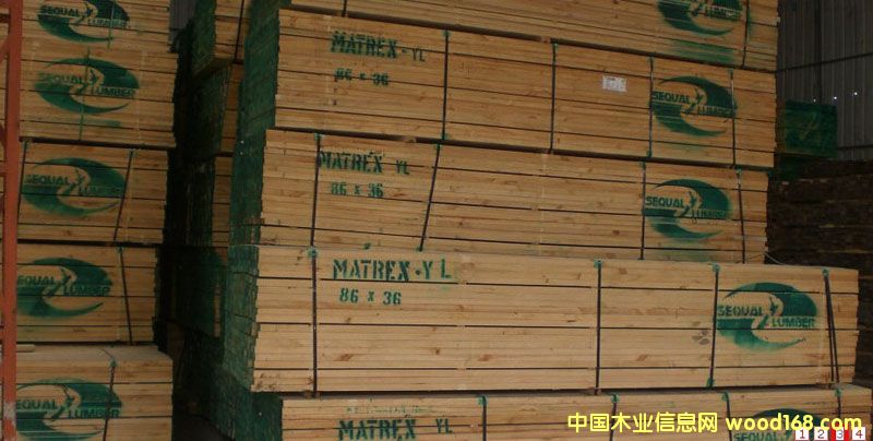 �����m��ݗ���� ��ĵ�Ԕ��(x��)��B