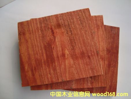 ��ľģ���Ԕ����B