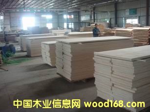 ľ�T ʹ��LVL  �ձ�JAS