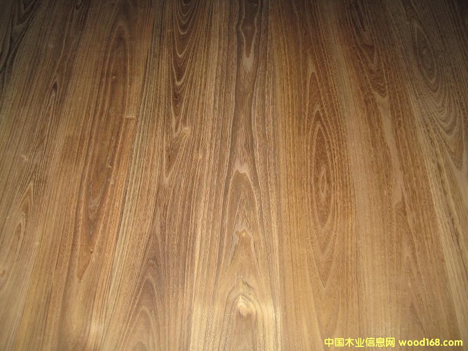 ��ľ�ذ壬������ľ��Ԕ��(x��)��B