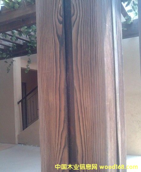 ���B���z�y��ľ��Ԕ����B