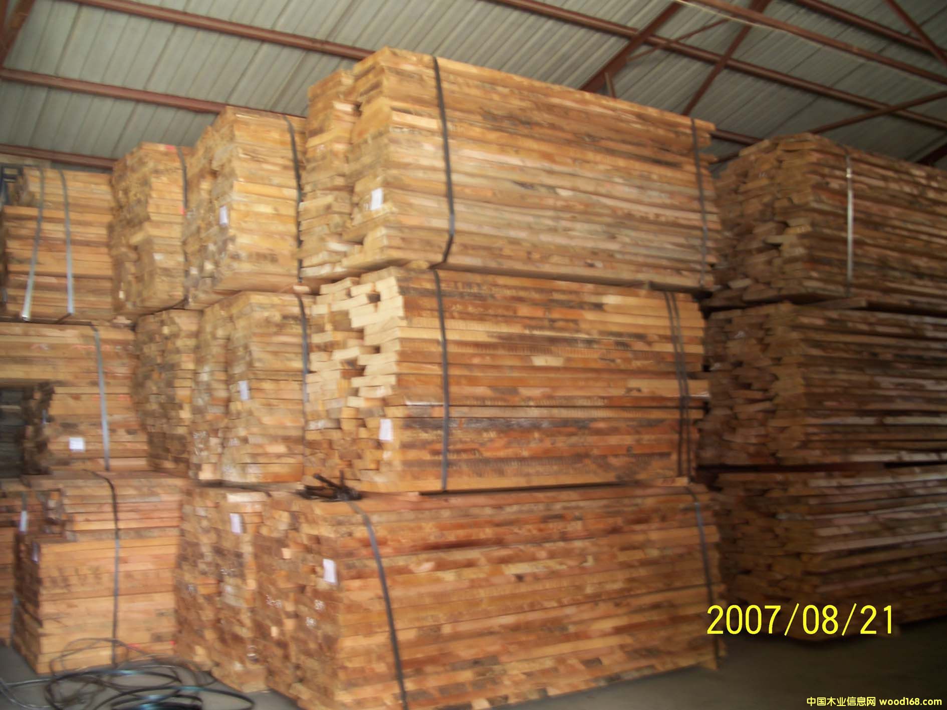 �M�ڙ�ľë߅���Ԕ����B