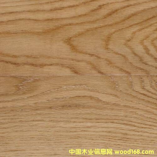 ���ӌ�ľ�ذ�