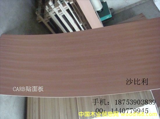 ɳ��������