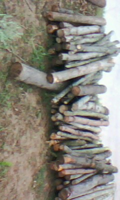 ԭ�sľ��Ԕ����B